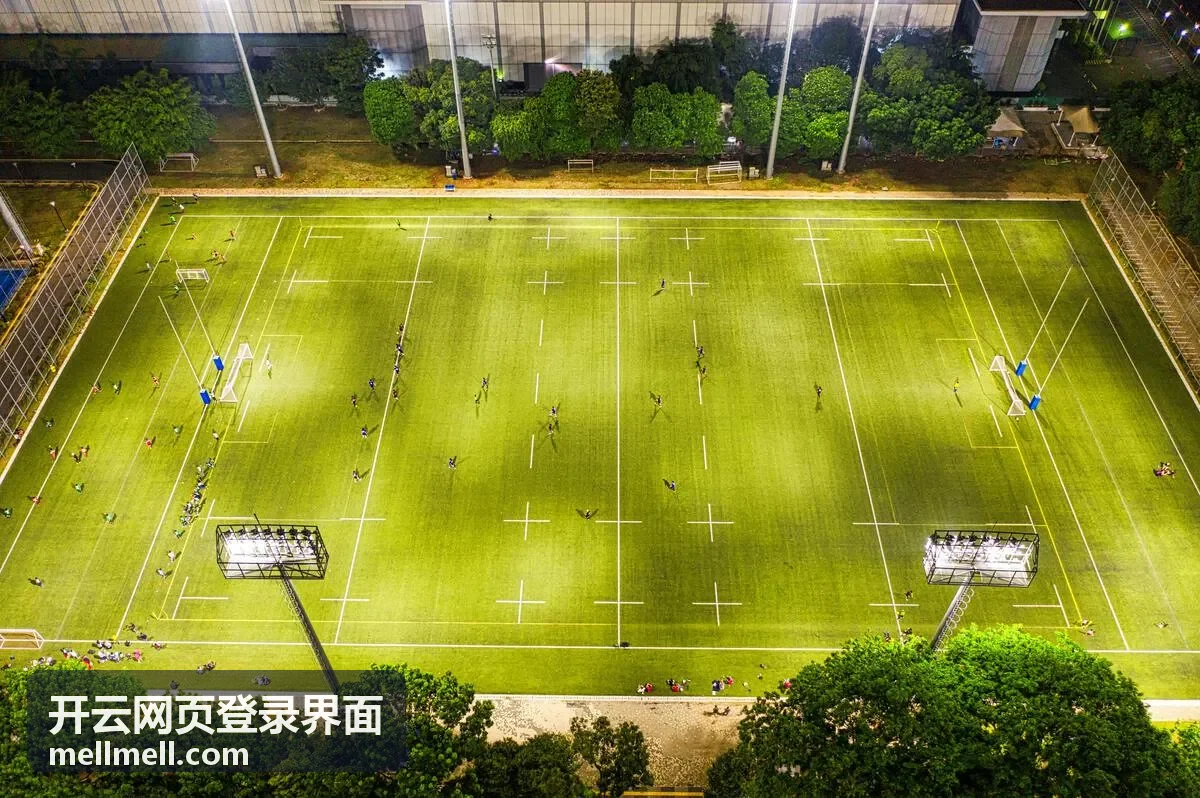 开云网页登录界面登录设备与会话管理界面示意